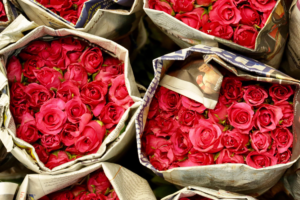 El Romántico Misterio de las Rosas Rojas: Un Símbolo de Amor a Través de los Tiempos